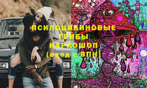 ГАЛЛЮЦИНОГЕННЫЕ ГРИБЫ Верея